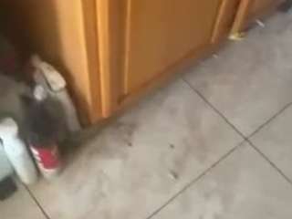 fantasydreamzz212nyc