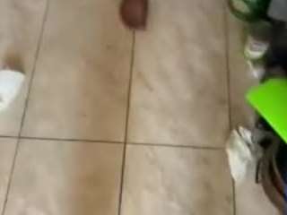 fantasydreamzz212nyc