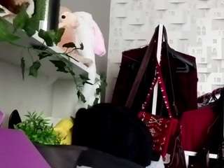 chereehallerman webcam