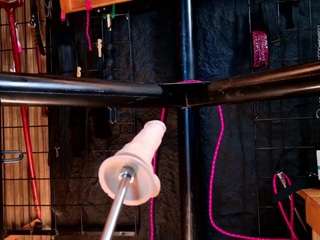 lexxy-luu