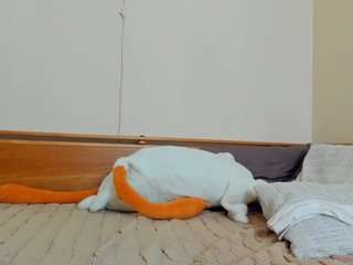 alissaperrodin webcam