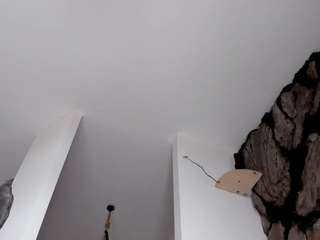bansheescreams