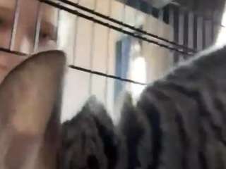 kazukochristoforou's CamSoda show and profile