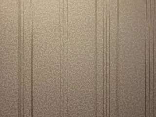 alexwestervelt webcam