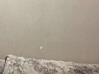 alexwestervelt webcam