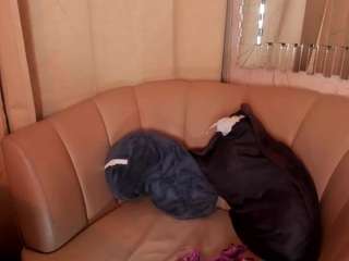 katelovings webcam