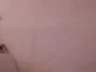 Polpo