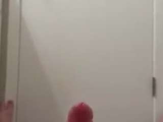 yourbigdickbob