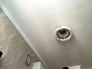 stefanievelotta live webcam show