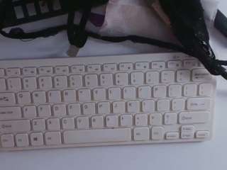 isa-thompsson webcam