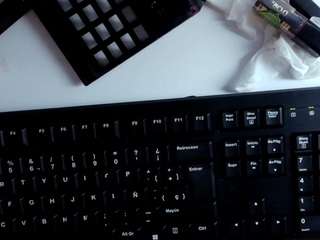 isa-thompsson webcam