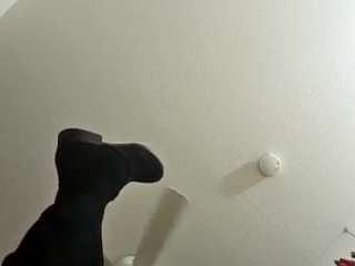 westviesteveston webcam