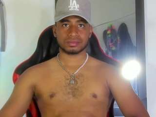 prince-gemini webcam model