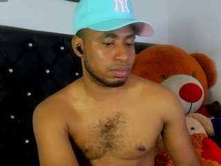 prince-gemini