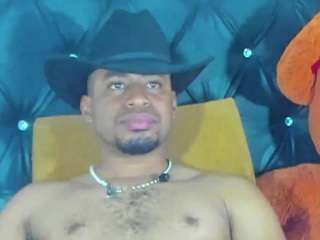prince-gemini