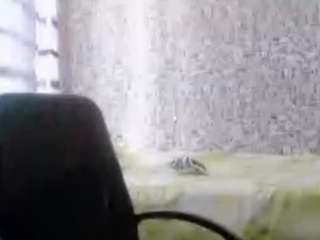 robbityacke live cam profile