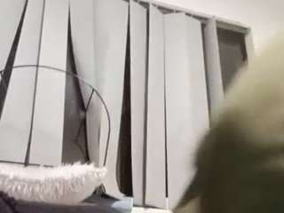 Dodsy