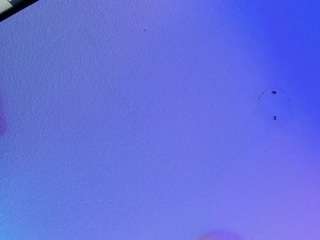 yayis-betancur webcam