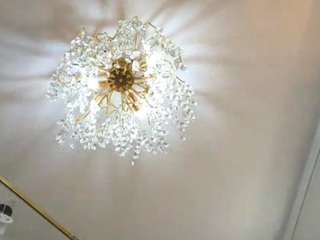 charlsieblankenbaker webcam