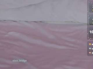 elaia-bridge
