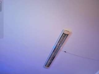 emily-loppez