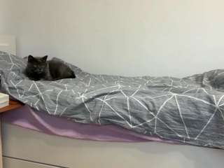 mariamcourey's CamSoda show and profile