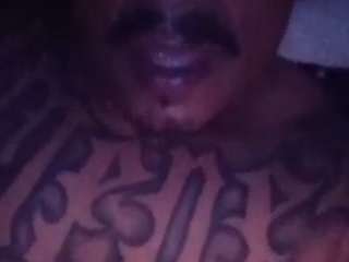 frankdatank1234