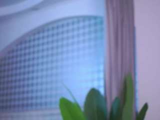 jaquelyncaccamo webcam