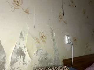 mauritacanfield webcam