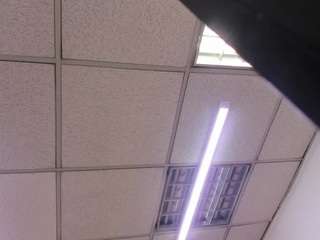 zayrastorm Profile Image