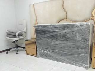 zayrastorm webcam