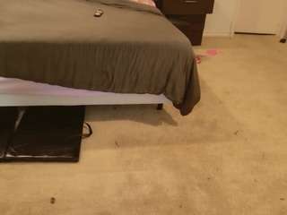 ambervolcaloid webcam