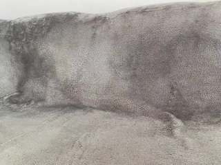 chinharker