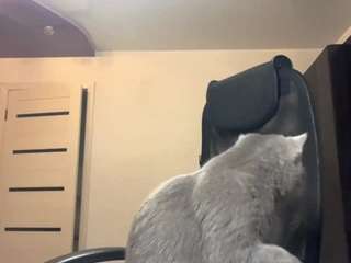 Live webcam model numckirgan on Soda Cams