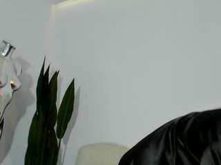 cassy-foxy webcam