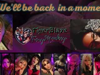 TigerBlazeFoxyMonkey