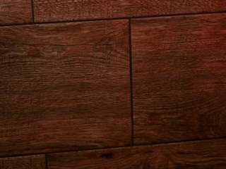 tigerblazefoxymonkey