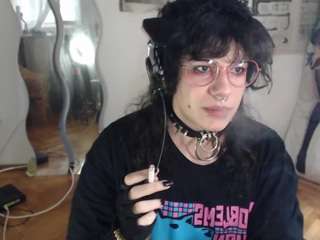 catboyprince