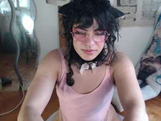 catboyprince