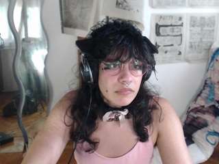 catboyprince