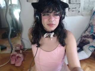 Profile of catboyprince