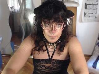 catboyprince