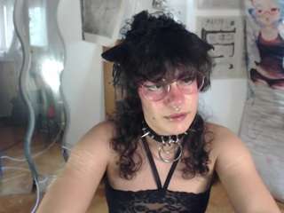 catboyprince