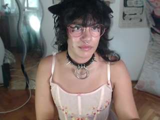 catboyprince