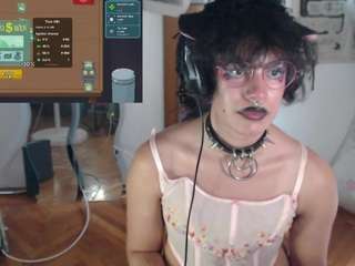 catboyprince