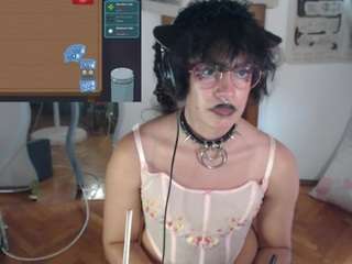catboyprince