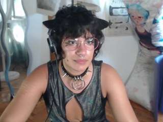 catboyprince