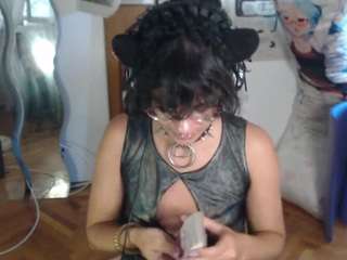 catboyprince