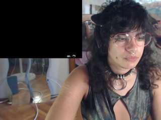 catboyprince
