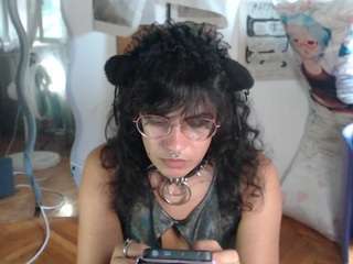 catboyprince